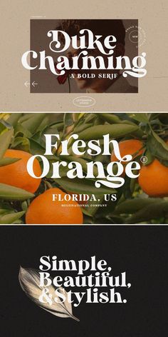 three different types of typefaces with oranges on them