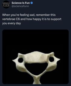 Bones Memes, Biology Memes, This Is Your Life, Science Lover, Wholesome Memes, History Facts, Remember This, Funny Laugh