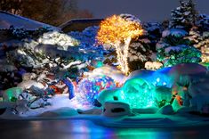 an illuminated garden in the snow at night