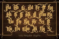 an old fashioned font in gold on a brown background with the words vol i regular glyphs