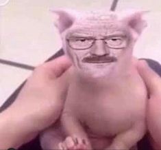 an old man with glasses and a mustache is holding a small pig in his arms