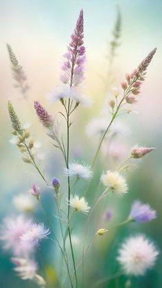 a bunch of flowers that are in some kind of vase on a table with blurry background