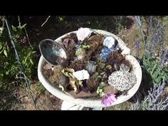 a bowl filled with lots of different types of rocks and dirt next to some plants