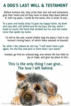 a dog's last will and testament