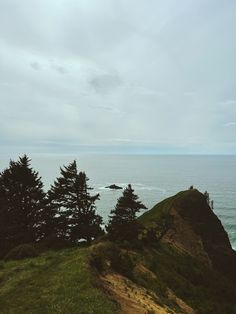 trees on the top of a hill overlooking the ocean