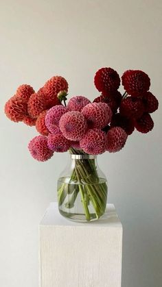 a vase filled with red flowers sitting on top of a white block