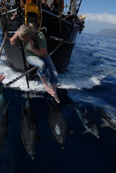 a woman riding on the back of a boat surrounded by dolphins