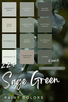 sage green paint colors from every brand Sage Shiplap Wall, Cool Tone Green Paint, Sage Green Bedroom Paint Colors, Grey Green Accent Wall, Paint Colors That Go With Sage Green, Soft Sage Green Paint Colors, Modern Green Paint Colors, Sage Green Palette Color Combinations, Green Wall Color Ideas