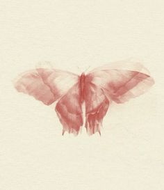 a pink butterfly sitting on top of a white sheet