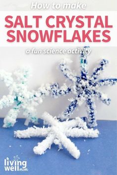 how to make salt crystal snowflakes with fun science activity for kids and adults