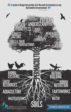 a poster with different types of trees and their roots on it's sides, including the words