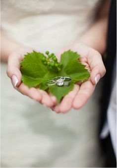 a person holding a leaf with two wedding rings on it