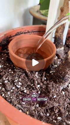 a potted plant with dirt in it and a spoon sticking out of the top