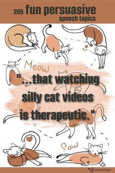 an image of cats with caption that reads, fun persuasive speech topics