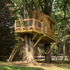 a tree house built into the side of a tree