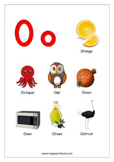 the letter o is for orange and an owl, an ostrich, an onion, an octopus