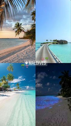 four different pictures with palm trees on the beach and water in the middle one is blue