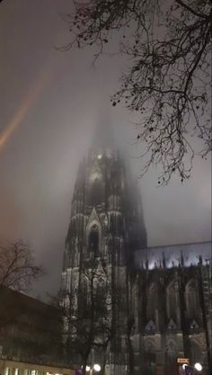 the cathedral is lit up at night with fog and light coming from it's windows