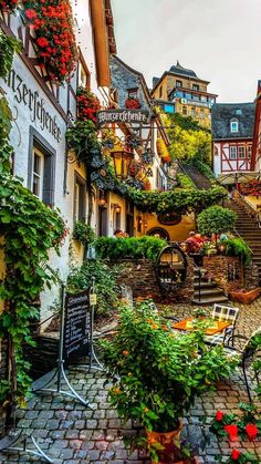 a cobblestone street lined with potted plants and flowered buildings in the background