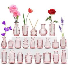 many different vases and flowers are arranged on a shelf in front of each other