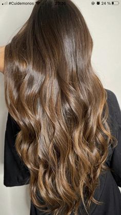 Balyage Long Hair, Chestnut Hair Color, Hair Stylies, Haircuts For Long Hair, Hair Inspiration Color