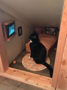 a black and white cat sitting on top of a rug next to a bed in a room