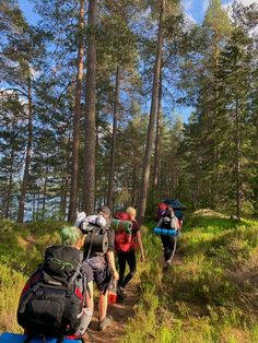 group of people hiking in the woods with backpacks and packs on their back legs