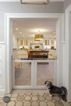 a dog is standing in front of an open door that leads to the kitchen and dining room