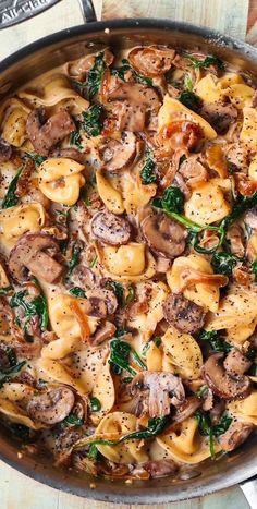 Creamy Tortellini with Spinach, Mushrooms, Caramelized Onions in a stainless steel pan Spinach Mushroom Tortellini, Creamy Tortellini With Spinach, Tortellini With Spinach, Dinner Meatless, Mushroom Tortellini, Meatless Dinners, Creamy Tortellini, Spinach Mushroom, Tortellini Recipes