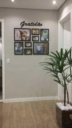 there is a potted plant on the floor in front of a wall with pictures