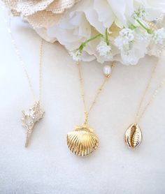 Summer dreaming...  which one is your fave?  #etsy #jewelry#seashell Silver Seashell Necklace, Seashell Locket, Gold Seashell Necklace, Beach Style Jewelry, Cowrie Shell Necklace, Curved Bar Necklace, Gold Locket Necklace, Horoscope Necklace, Seashell Pendants