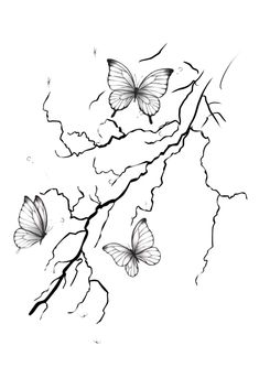 Side Arm Tattoos For Women Butterfly, Line Scar Tattoo, Thigh Tats For Women Stencil, Shoulder And Upper Arm Tattoos For Women Unique, Side Tattoo Ideas For Women Rib Cage, Back And Buttock Tattoo, Filler Tattoo Ideas Gap Forearm, Leg Tats Women, Woman Tattoo Stencil