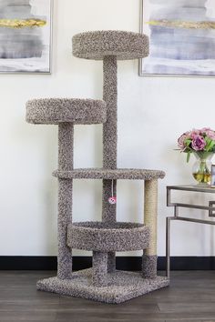 a cat tree in the corner of a room with pictures on the wall behind it