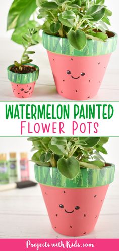 watermelon painted flower pots with plants in them