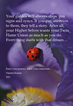 a ladybug sitting on top of a purple flower with the words, your guides will always show you signs and syncs if you pay attention to them, they tell a story