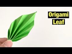 an origami leaf is being held in front of a white background with the words,