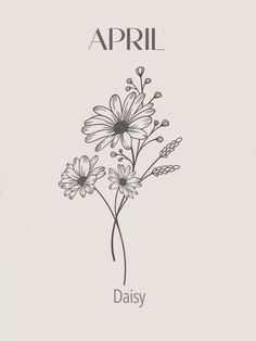 an image of flowers with the words,'apri daisy'in black and white