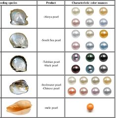 Jewelry Education, Pearl Stone, Tahitian Pearls, Gems And Minerals, Pearl Color