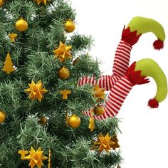 a christmas tree decorated with yellow and red ornaments, elf's hands reaching up to the top