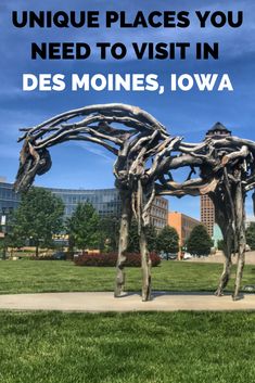 a large metal horse sculpture in the middle of a park with text overlaying it that reads unique places you need to visit in des monies, iowa