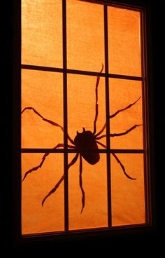 a spider sitting on the window sill at night