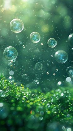 soap bubbles floating in the air over green grass and bushes with water droplets on them