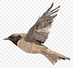 a bird is flying through the air with newspaper on its wings