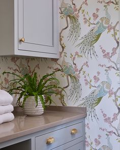 a potted plant sitting on top of a counter next to a wall papered with birds