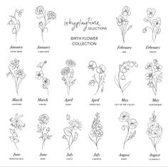 the birth flower collection is shown in black and white, with flowers drawn on it