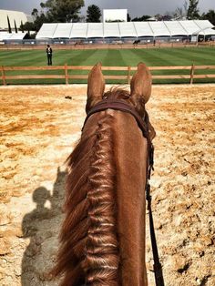 a brown horse standing on top of a dirt field