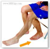 Medial Knee Pain, Mcl Injury, Knee Meniscus, Knee Replacement Exercises, Knee Exercise, Hip Strengthening, Knee Surgery Recovery, Acl Injury