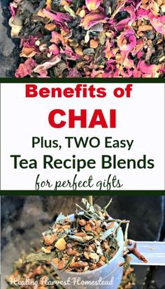 the benefits of chai plus, two easy tea recipe blends for perfect gifts