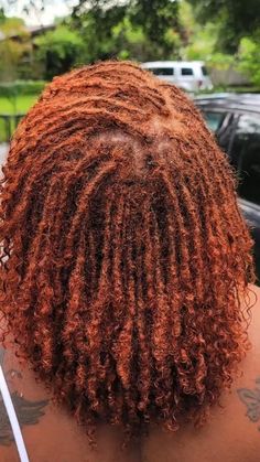 Starter Loc Women, Curly Tip Locs, Locs Type 4 Hair, Biracial Women With Locs, Comb Coil Locs 4c Hair, Traditional Locs With Curly Ends, Boho Starter Locs, Starting Locs From Braids, Locs For Black Women Real Hair