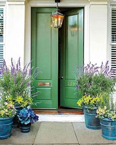 two green doors and three blue flower pots